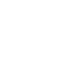 paypal logo white rev2