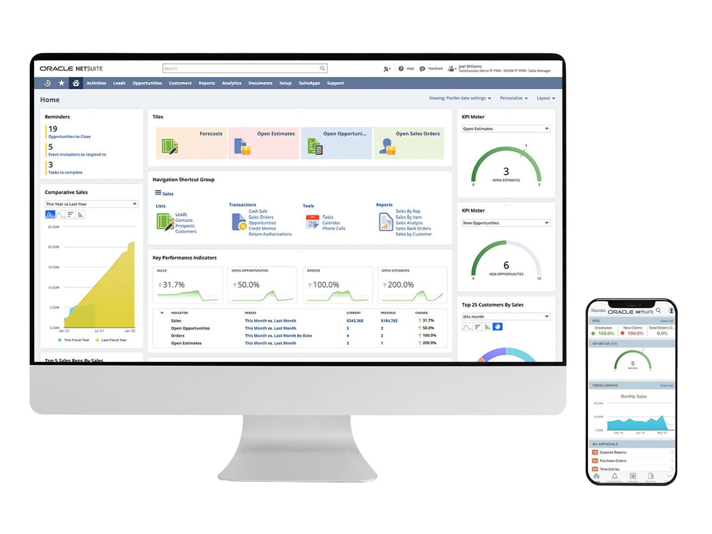 Oracle NetSuite ERP 7