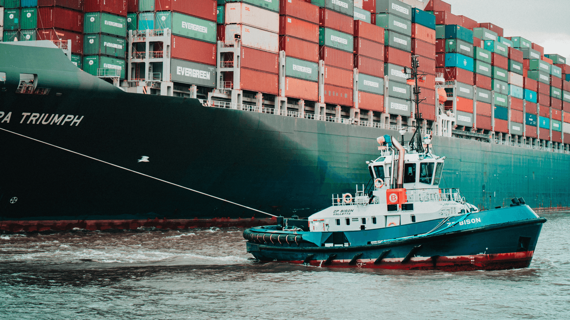 Oracle NetSuite for Wholesale Distributors 2